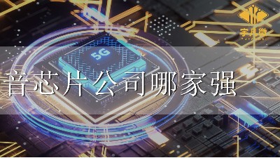 語音芯片公司哪家強