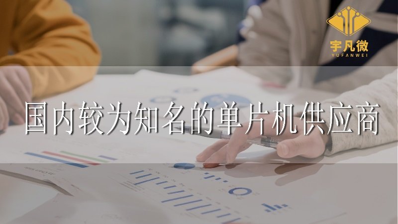 國內(nèi)較為知名的單片機供應(yīng)商