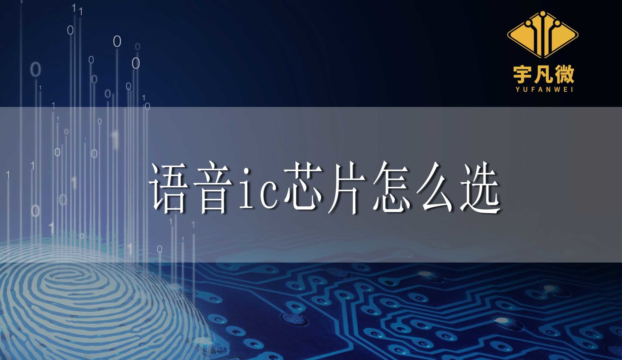語音ic芯片怎么選？